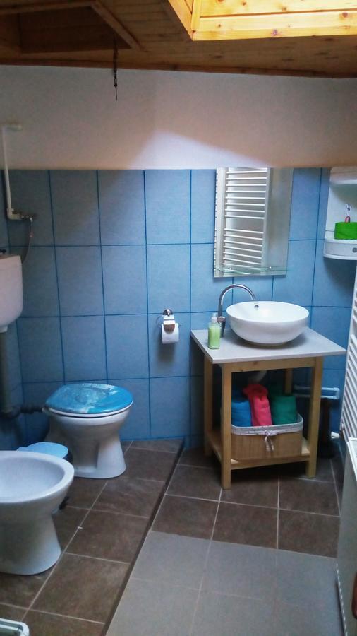 Casa Felix Apartman Sinaia Kültér fotó